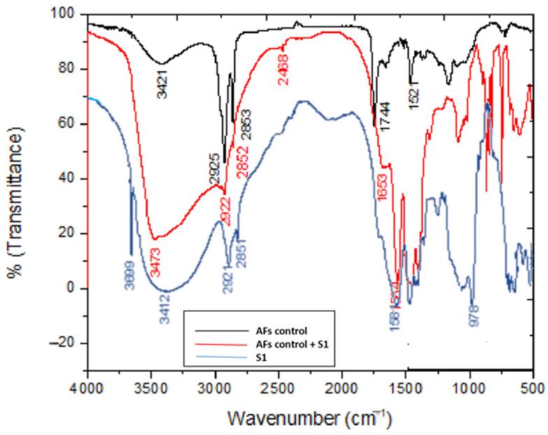 https://cdn.ncbi.nlm.nih.gov/pmc/blobs/90ec/8067753/636d84c2a424/molecules-26-02113-g005.jpg