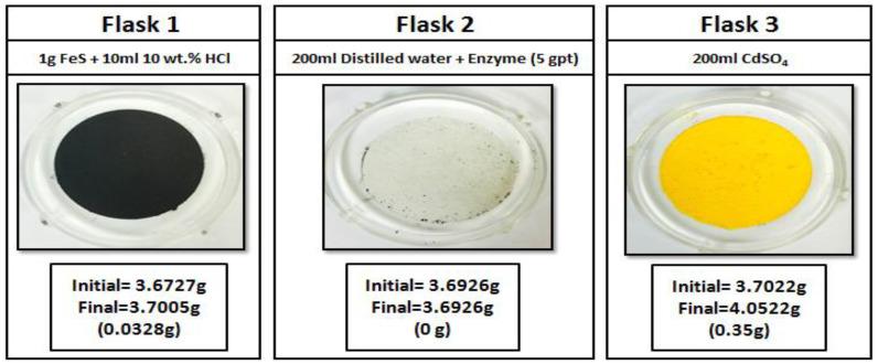 https://cdn.ncbi.nlm.nih.gov/pmc/blobs/90ee/7698399/e171bc7d546b/polymers-12-02722-g017.jpg