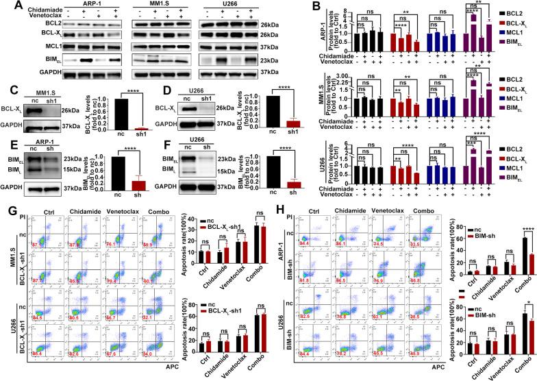 https://cdn.ncbi.nlm.nih.gov/pmc/blobs/90ee/9264603/69e819367e7e/13148_2022_1306_Fig5_HTML.jpg