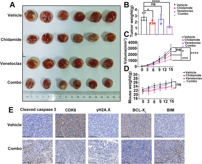 https://cdn.ncbi.nlm.nih.gov/pmc/blobs/90ee/9264603/989374c6866f/13148_2022_1306_Fig6_HTML.jpg