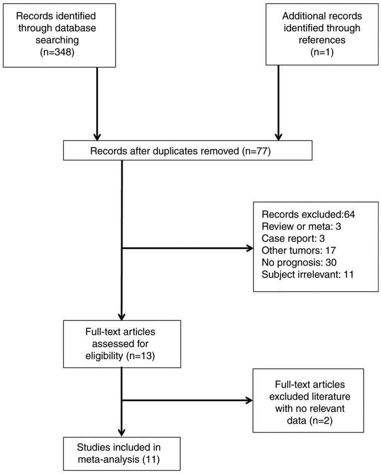 https://cdn.ncbi.nlm.nih.gov/pmc/blobs/90ef/6909484/c03e721b3246/etm-19-01-0359-g00.jpg