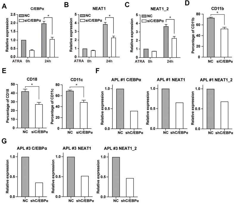 https://cdn.ncbi.nlm.nih.gov/pmc/blobs/90ef/8148485/3c40ee022877/aging-13-203000-g004.jpg
