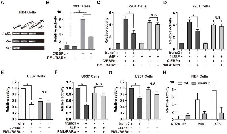 https://cdn.ncbi.nlm.nih.gov/pmc/blobs/90ef/8148485/909ece2b98b2/aging-13-203000-g003.jpg