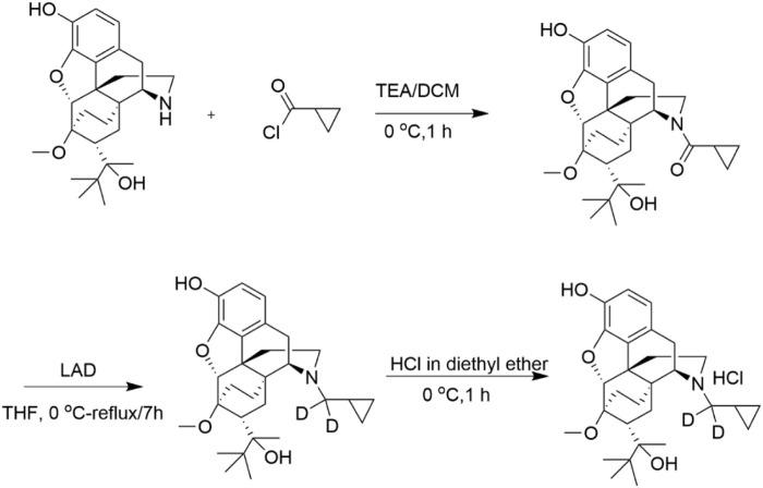 https://cdn.ncbi.nlm.nih.gov/pmc/blobs/90f1/10204800/6994cf4d2540/fphar-14-1123261-g002.jpg