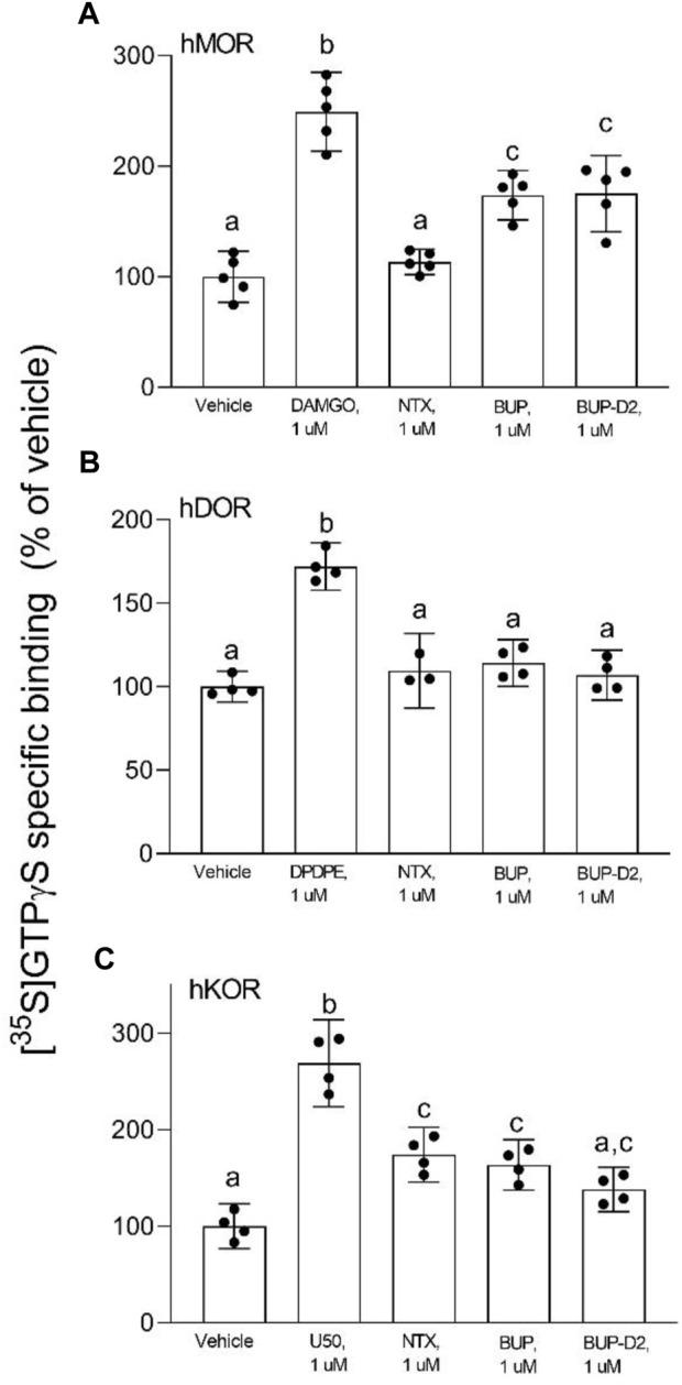 https://cdn.ncbi.nlm.nih.gov/pmc/blobs/90f1/10204800/eeea1a5149ce/fphar-14-1123261-g004.jpg