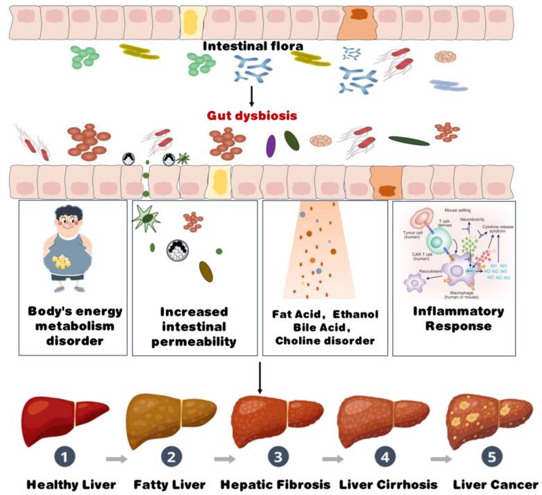 https://cdn.ncbi.nlm.nih.gov/pmc/blobs/90f2/11431124/ec46c58635e0/foods-13-02992-g002.jpg