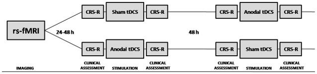 https://cdn.ncbi.nlm.nih.gov/pmc/blobs/90f2/5093112/b3fd1250b3a3/fncel-10-00257-g0001.jpg