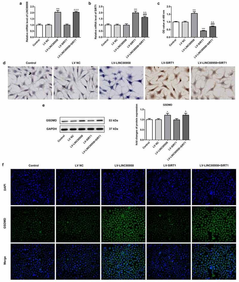 https://cdn.ncbi.nlm.nih.gov/pmc/blobs/90f4/8806533/31dedbd911bc/KBIE_A_1955561_F0005_OC.jpg