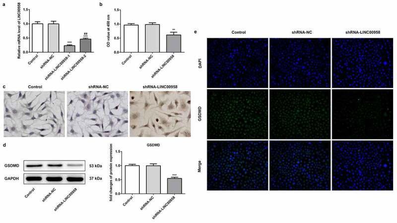 https://cdn.ncbi.nlm.nih.gov/pmc/blobs/90f4/8806533/5078a393f4d5/KBIE_A_1955561_F0002_OC.jpg
