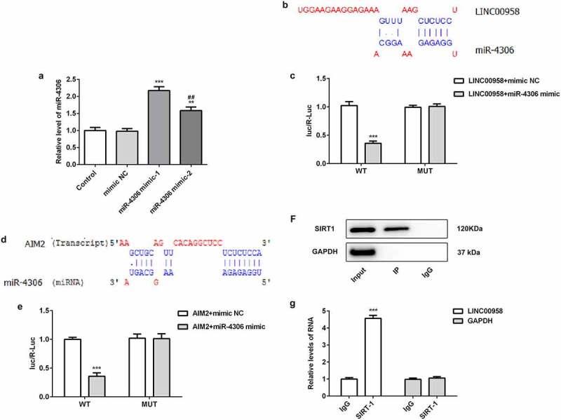 https://cdn.ncbi.nlm.nih.gov/pmc/blobs/90f4/8806533/5d98fe700b0c/KBIE_A_1955561_F0004_OC.jpg