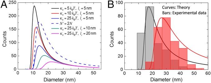 https://cdn.ncbi.nlm.nih.gov/pmc/blobs/90f5/5358381/3513fb488ca9/pnas.1702065114fig05.jpg