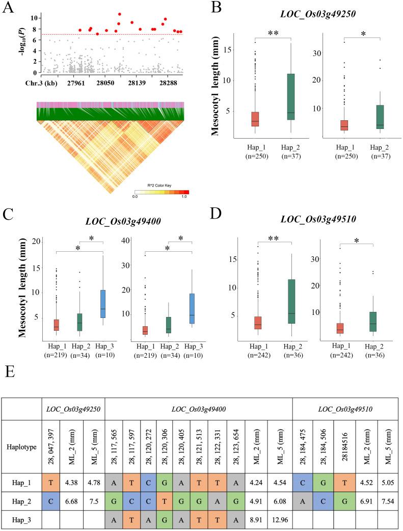 https://cdn.ncbi.nlm.nih.gov/pmc/blobs/90f8/12106522/2063e8462e27/fpls-16-1546580-g003.jpg