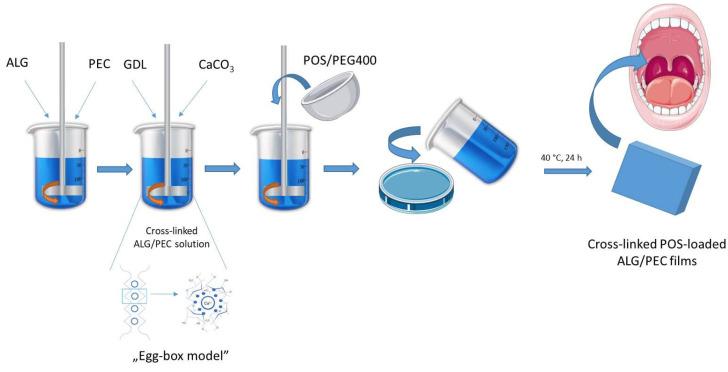 https://cdn.ncbi.nlm.nih.gov/pmc/blobs/90f9/10610174/1126aeefda45/pharmaceutics-15-02415-g001.jpg