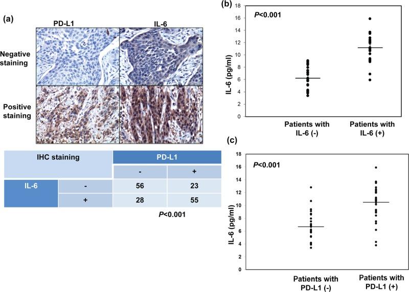 https://cdn.ncbi.nlm.nih.gov/pmc/blobs/90fa/4884963/d38a61448b85/oncotarget-07-7913-g002.jpg