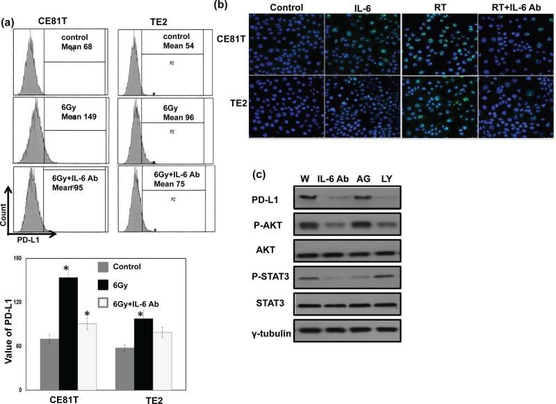 https://cdn.ncbi.nlm.nih.gov/pmc/blobs/90fa/4884963/e961f6b288bc/oncotarget-07-7913-g003.jpg