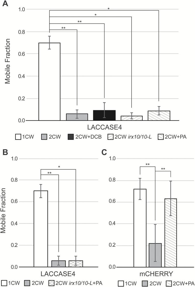 https://cdn.ncbi.nlm.nih.gov/pmc/blobs/90fa/6018803/b0a1b993938b/ery06706.jpg