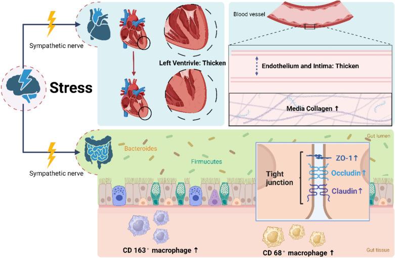 https://cdn.ncbi.nlm.nih.gov/pmc/blobs/90fb/11184829/3d78505a84de/40001_2024_1932_Fig1_HTML.jpg