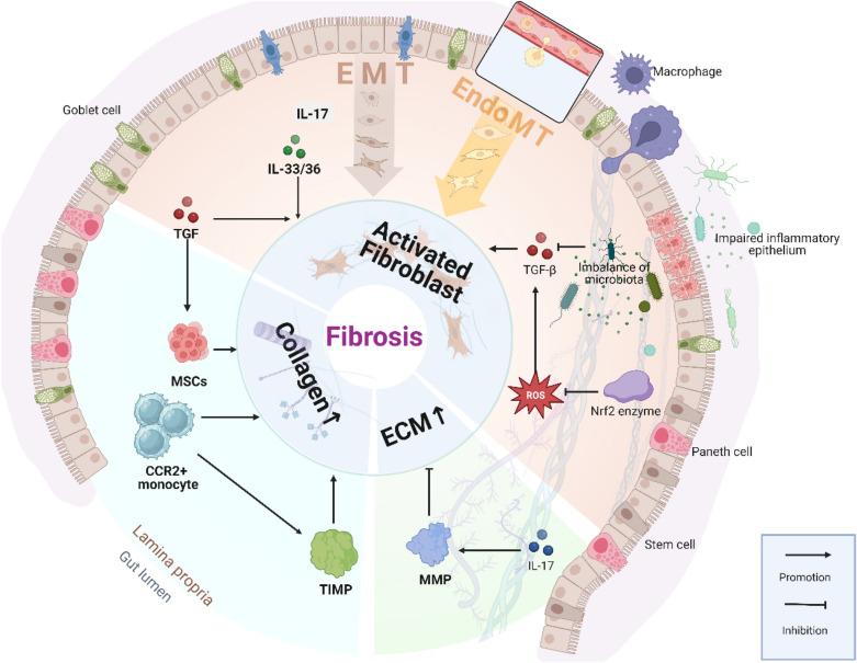 https://cdn.ncbi.nlm.nih.gov/pmc/blobs/90fb/11184829/4f253ae86fe5/40001_2024_1932_Fig2_HTML.jpg