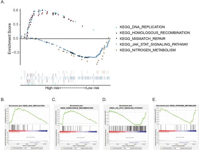 https://cdn.ncbi.nlm.nih.gov/pmc/blobs/90fb/11194215/0c80c6cce4b8/13577_2024_1068_Fig3_HTML.jpg