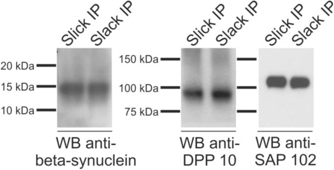 https://cdn.ncbi.nlm.nih.gov/pmc/blobs/90fb/5669359/94f07995c1b9/gr4.jpg