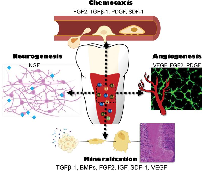 https://cdn.ncbi.nlm.nih.gov/pmc/blobs/90fc/12408052/0126b17b056d/IRME_A_2546759_F0003_OC.jpg