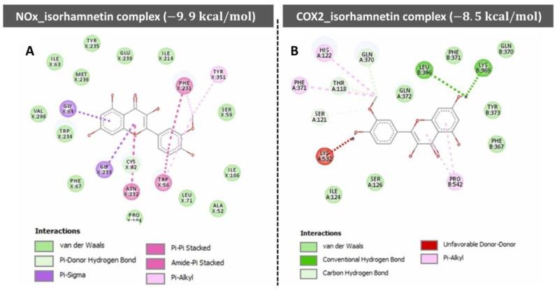 https://cdn.ncbi.nlm.nih.gov/pmc/blobs/90fd/12347436/d96ff7cc7c73/ijms-26-07381-g006.jpg
