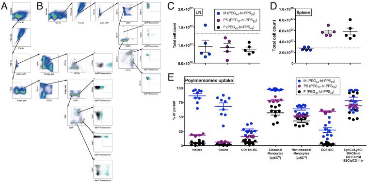https://cdn.ncbi.nlm.nih.gov/pmc/blobs/90fd/5667586/13941088064b/figs1.jpg