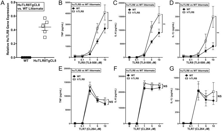 https://cdn.ncbi.nlm.nih.gov/pmc/blobs/90fd/5667586/1eb278634291/figs11.jpg
