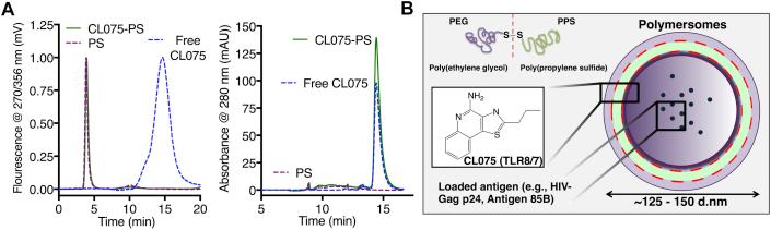 https://cdn.ncbi.nlm.nih.gov/pmc/blobs/90fd/5667586/34c792252776/gr2.jpg