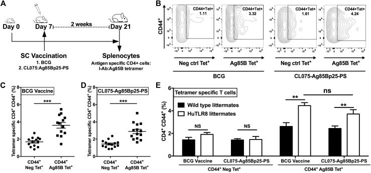 https://cdn.ncbi.nlm.nih.gov/pmc/blobs/90fd/5667586/565b8b3a6687/gr6.jpg