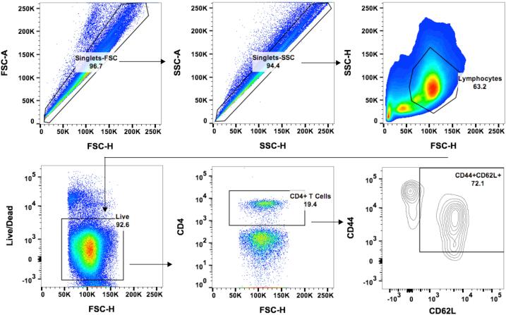 https://cdn.ncbi.nlm.nih.gov/pmc/blobs/90fd/5667586/58bfea4ecd59/figs13.jpg
