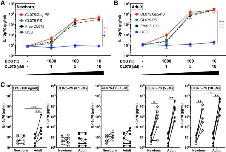 https://cdn.ncbi.nlm.nih.gov/pmc/blobs/90fd/5667586/a02709292289/figs10.jpg