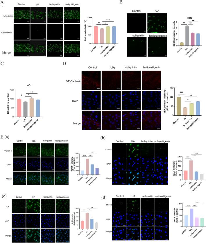 https://cdn.ncbi.nlm.nih.gov/pmc/blobs/9101/11970112/92355e5917b6/SMMD-4-e70000-g005.jpg