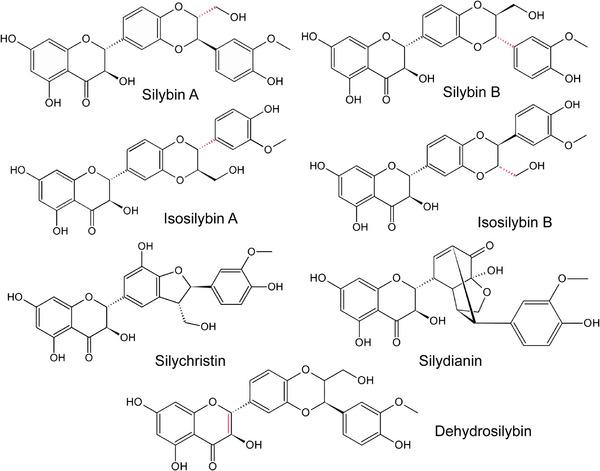 https://cdn.ncbi.nlm.nih.gov/pmc/blobs/9106/11605779/1e5afb12ab51/MNFR-68-2400500-g007.jpg