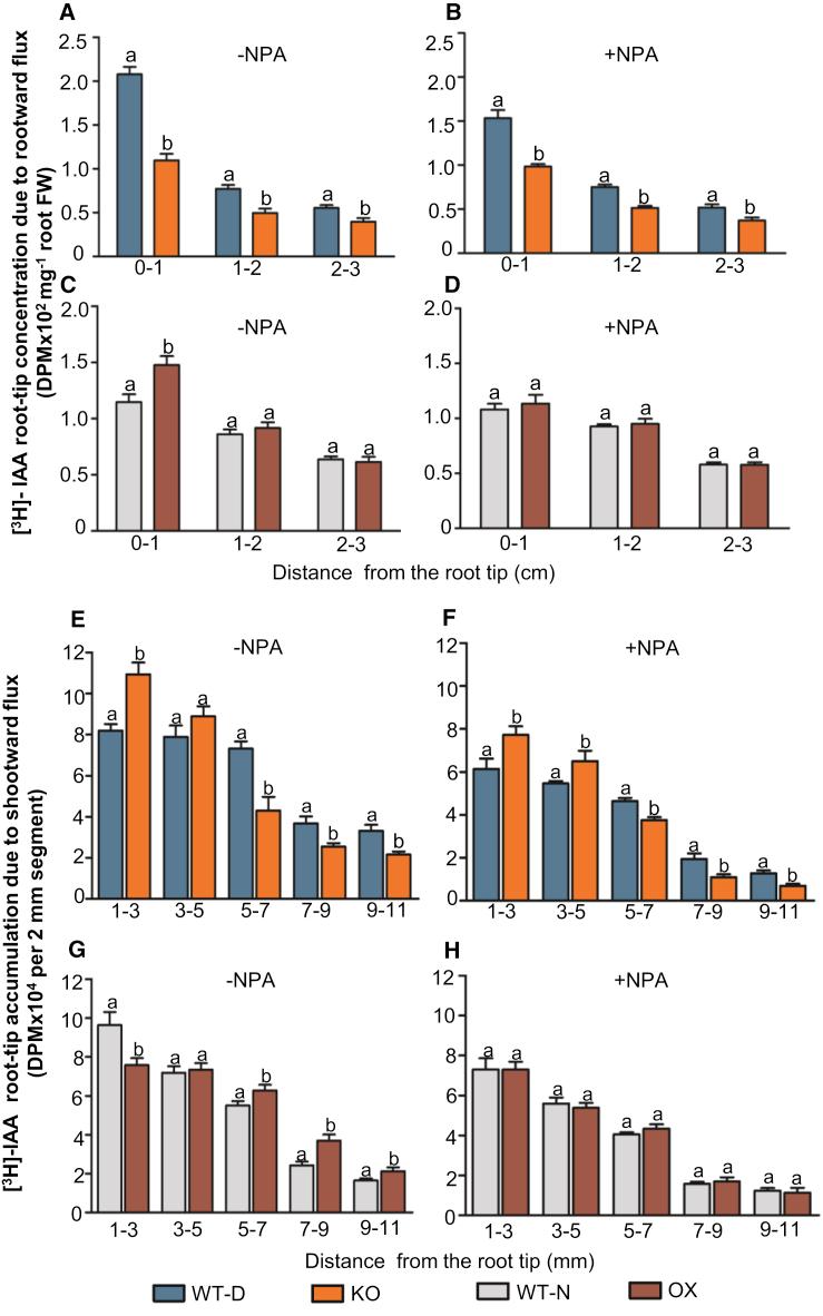 https://cdn.ncbi.nlm.nih.gov/pmc/blobs/9106/7747981/ab063cea0a9f/gr4.jpg