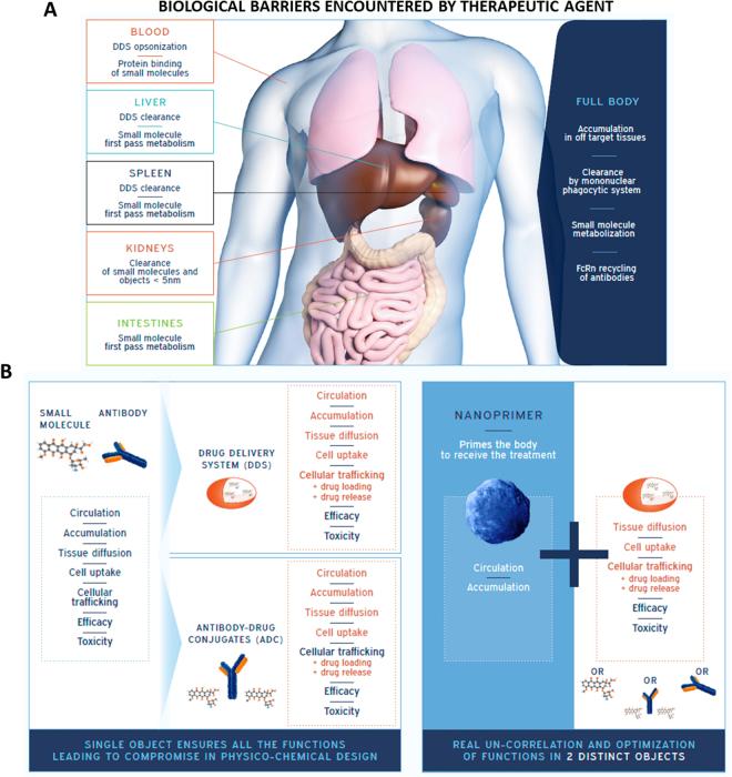 https://cdn.ncbi.nlm.nih.gov/pmc/blobs/9107/5859131/1aab203049ae/41598_2018_23140_Fig1_HTML.jpg
