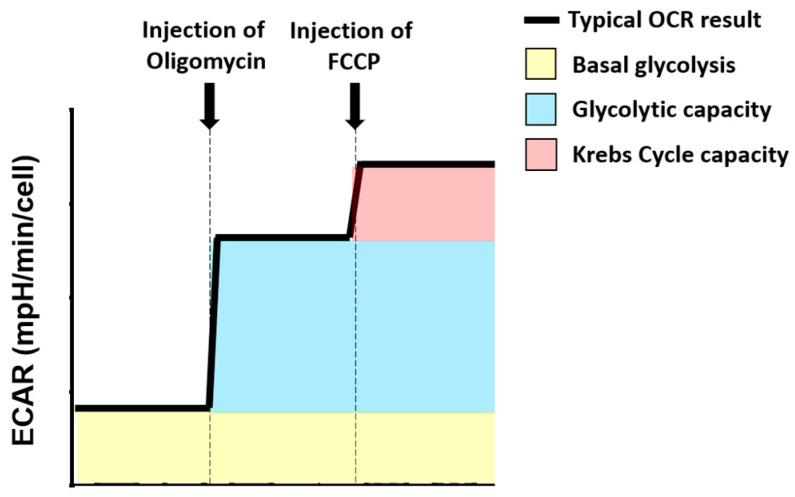 https://cdn.ncbi.nlm.nih.gov/pmc/blobs/9107/7764800/b6bab89df193/cancers-12-03722-g006.jpg