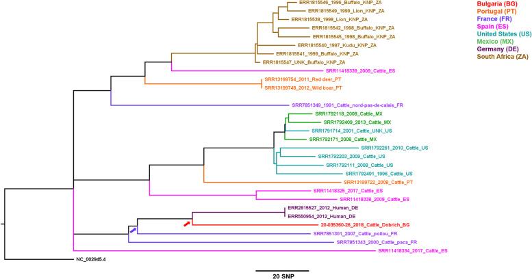 https://cdn.ncbi.nlm.nih.gov/pmc/blobs/910a/9034630/67921f8dc6c4/12917_2022_3249_Fig3_HTML.jpg