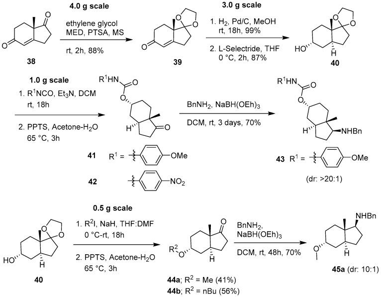 https://cdn.ncbi.nlm.nih.gov/pmc/blobs/910b/6153746/3707a799897a/molecules-22-00827-sch005.jpg
