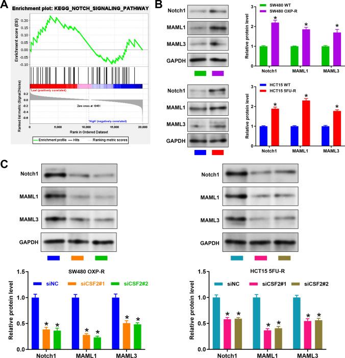 https://cdn.ncbi.nlm.nih.gov/pmc/blobs/910c/11981976/01266d31011c/12672_2025_2285_Fig3_HTML.jpg