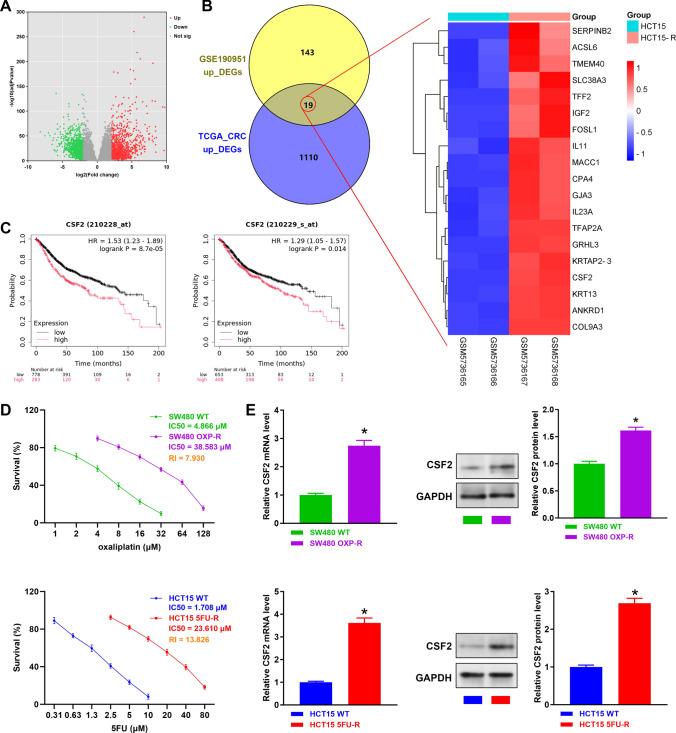 https://cdn.ncbi.nlm.nih.gov/pmc/blobs/910c/11981976/1cec10fed6f6/12672_2025_2285_Fig1_HTML.jpg