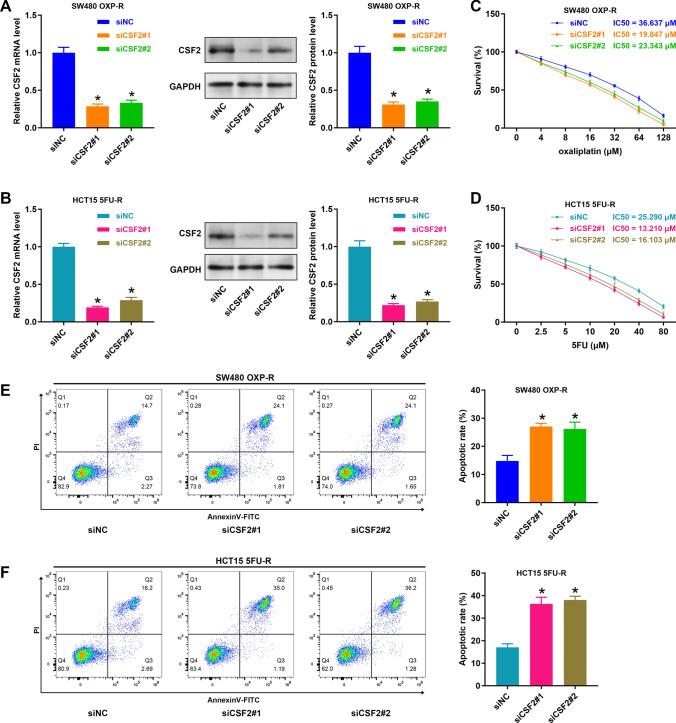 https://cdn.ncbi.nlm.nih.gov/pmc/blobs/910c/11981976/7ee154d3af4f/12672_2025_2285_Fig2_HTML.jpg