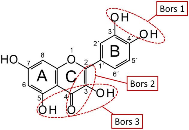 https://cdn.ncbi.nlm.nih.gov/pmc/blobs/910c/9013829/1ccecc23acf1/fnut-09-882458-g0001.jpg