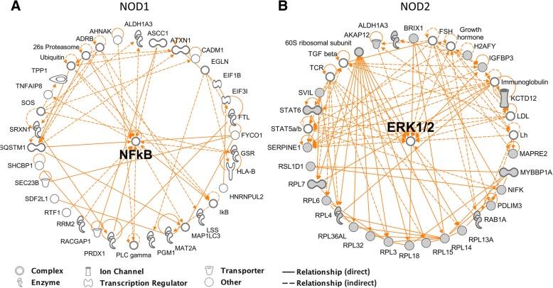 https://cdn.ncbi.nlm.nih.gov/pmc/blobs/910d/6385390/a275e2ca4f37/12864_2019_5523_Fig4_HTML.jpg