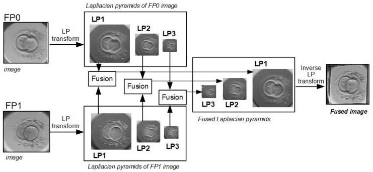 https://cdn.ncbi.nlm.nih.gov/pmc/blobs/910d/7865517/4de163c10c6a/sensors-21-00863-g005.jpg