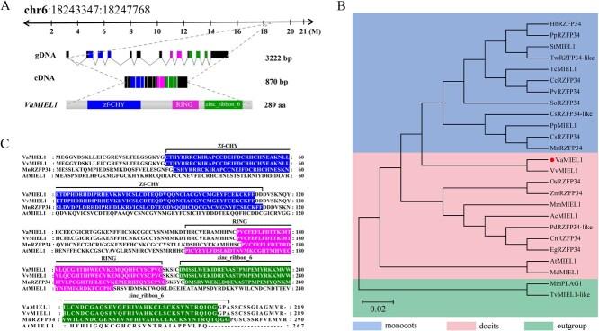 https://cdn.ncbi.nlm.nih.gov/pmc/blobs/910f/12087447/16348ec84a32/uhaf093f2.jpg