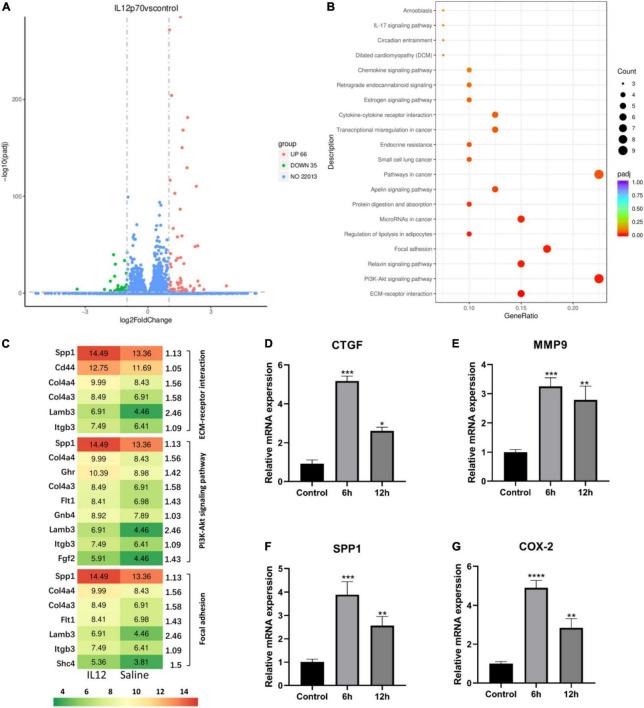 https://cdn.ncbi.nlm.nih.gov/pmc/blobs/910f/9729255/8a4bd8d6d596/fmed-09-922193-g004.jpg