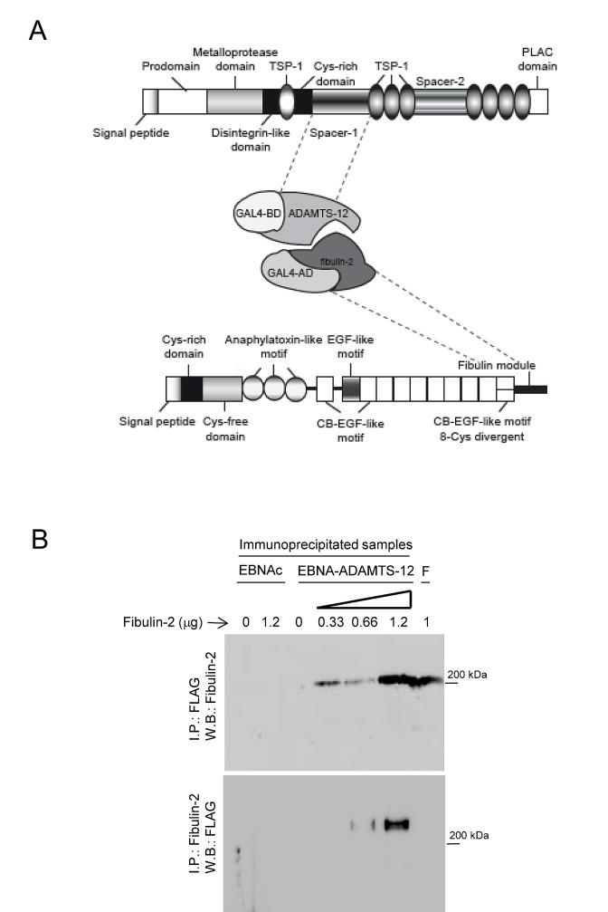 https://cdn.ncbi.nlm.nih.gov/pmc/blobs/9110/4012729/0a0be15dfac5/oncotarget-05-1253-g001.jpg