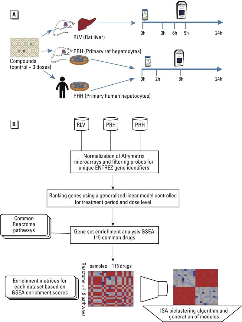 https://cdn.ncbi.nlm.nih.gov/pmc/blobs/9113/4786983/bc5abc61bc93/ehp.1409157.g001.jpg