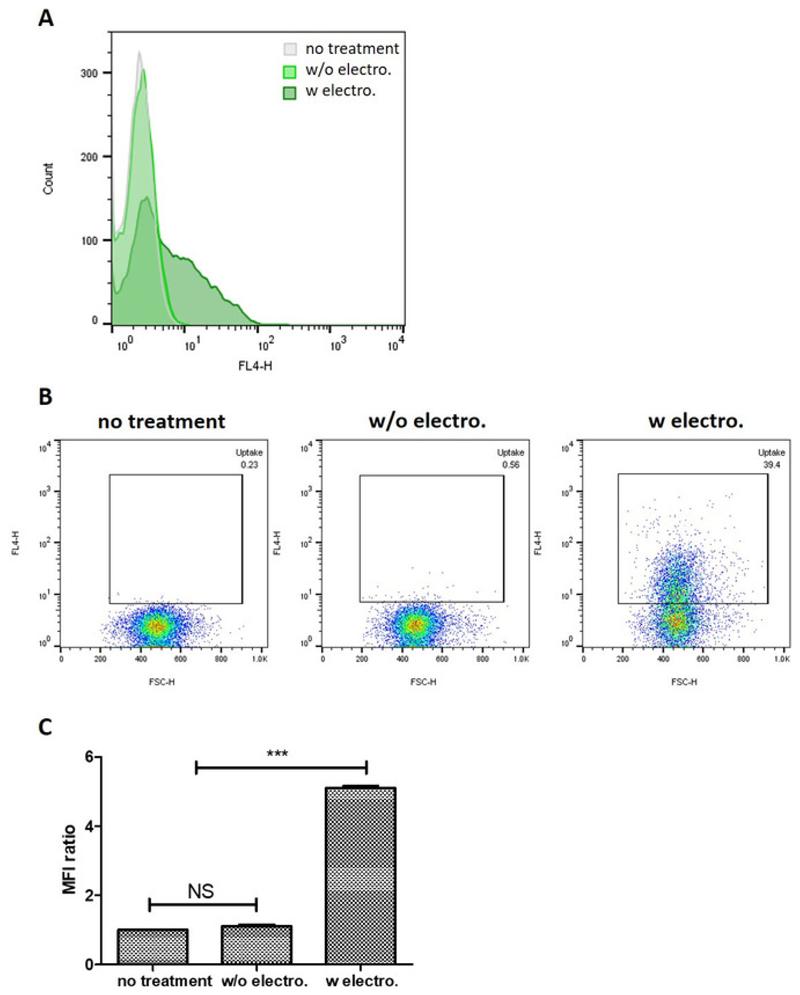 https://cdn.ncbi.nlm.nih.gov/pmc/blobs/9114/6785346/bc776aab4689/EMS82840-f005.jpg
